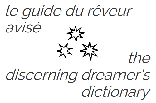 the discerning dreamer's dictionary